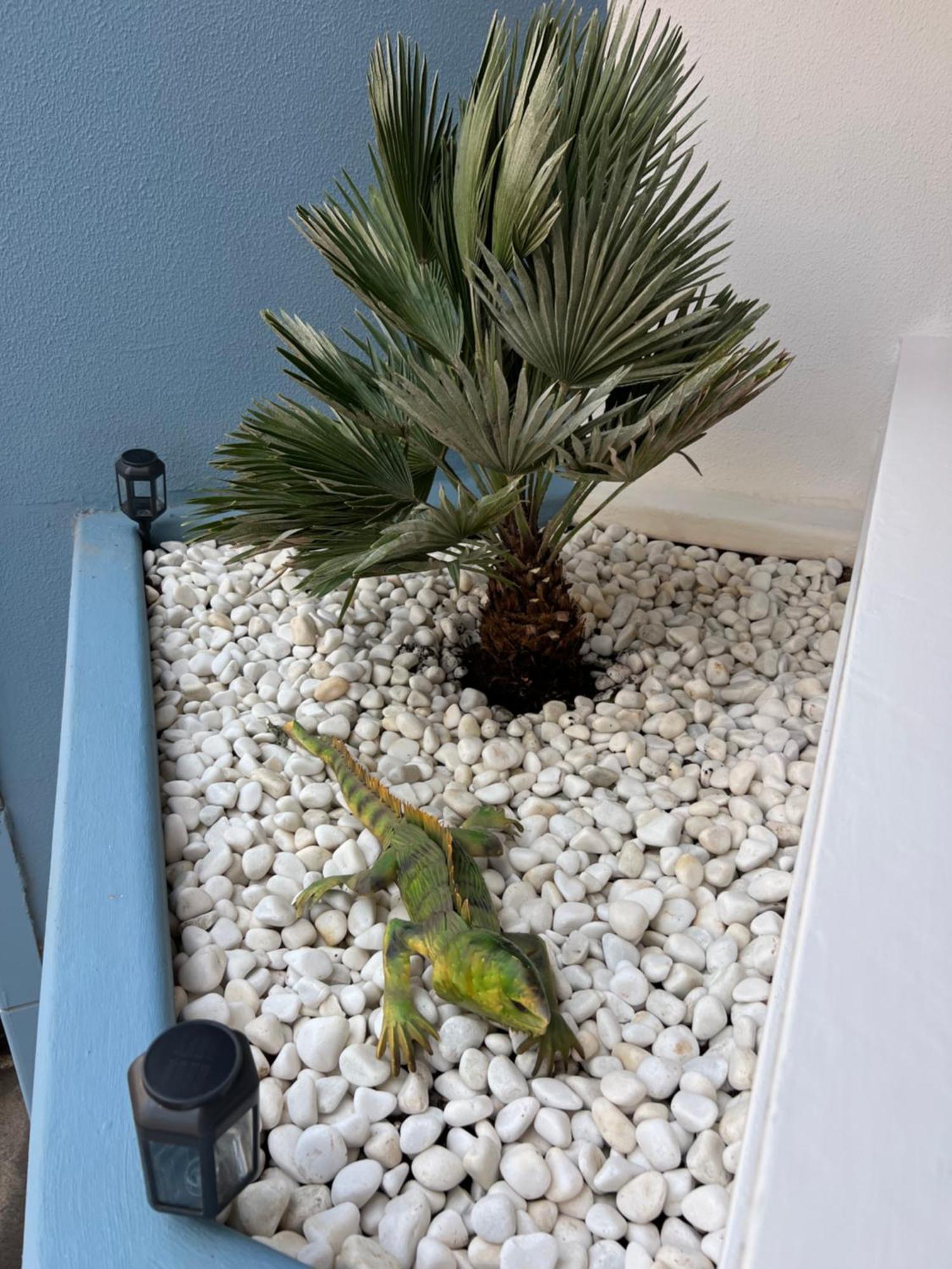 Air Conditioning, Private Parking And Fully Equipped Kitchen In Hotel Room In Golf Del Sur, Tenerife San Miguel de Abona Exteriör bild